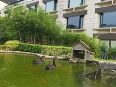 -行者书屋大堂吧 ·下午茶(南京圣和府邸酒店)