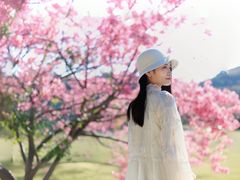 -风云岭森林公园