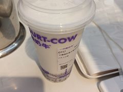 -一只酸奶牛(时代天街A馆店)