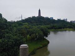 -顺峰山公园