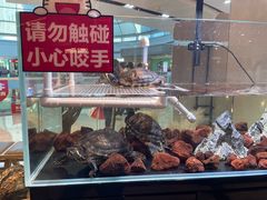-北李妈妈菜·海肠捞饭(高新万达店)