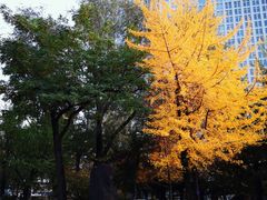 -辽宁大学(崇山校区)
