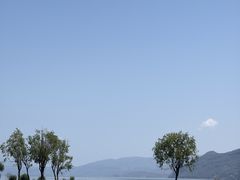 -1点点(龙湖金楠天街店)