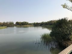 -尚贤河湿地