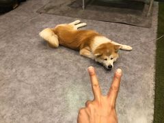 -YCHL Studios健身工作室(市二宫店)
