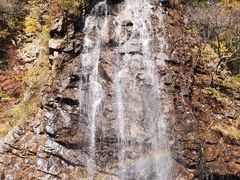-龙道沟景区