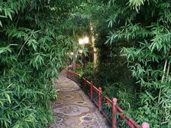 -月坛公园