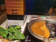 -温禾牛·和牛寿喜烧自助火锅(恒基名人店)