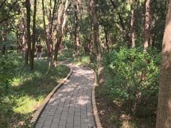 -千佛山风景名胜区