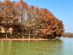 -上海海湾国家森林公园