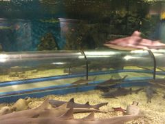 -福州罗源湾海洋世界旅游区