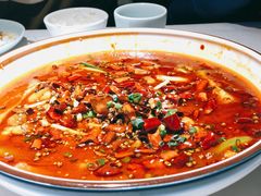 江湖馋嘴蛙-雲蜀龙阁·金牌水煮鱼(方庄店)