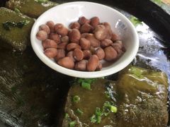 -农厨好味·温泉鹅·农家菜