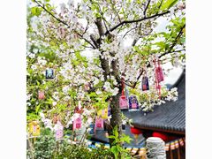 -杭州上天竺法喜讲寺