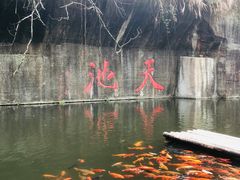 -千岛湖东南湖区