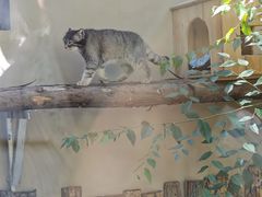 -青藏高原野生动物园