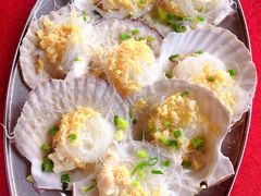 -大湾区中央湿地公园-十九涌