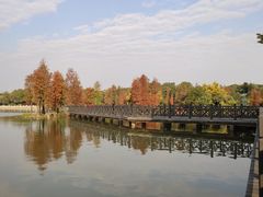 -海珠湖公园