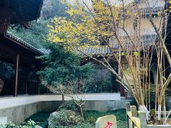 -十八棵（老龙井）御茶园(老龙井店)