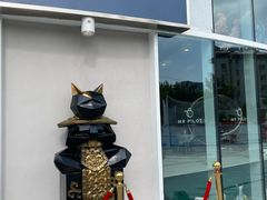 -飞行喵MR PILOT|猫舍·猫咖(静安大融城店)