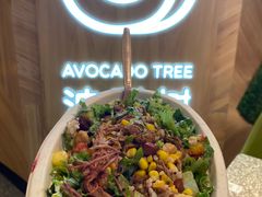 -油梨树AVOCADO TREE(嘉里中心店)
