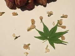 -晶采轩(虹桥路店)