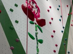 -绿壁虎攀岩基地(Tcar店)