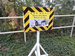 -大埔公路-马料水段香港中文大学(公交站)