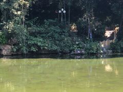 -人民公园(罗湖区)