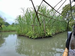 -沙家浜风景区