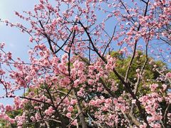 -和平公园