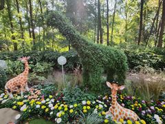 -上海共青森林公园