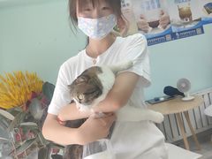 -果果木·手工酸奶·水果捞(小东路店)