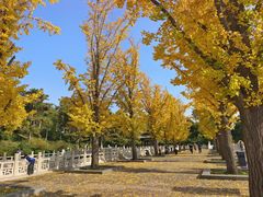 -晋祠公园