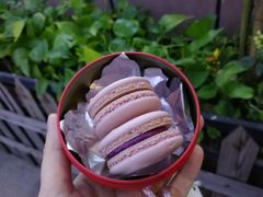 -麦雪尔甜品·生日蛋糕(新街口旗舰店)