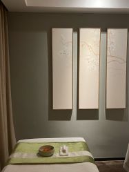 -梵隐SPA