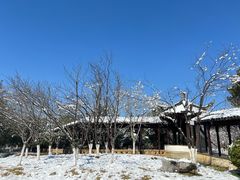 -八大山人梅湖景区