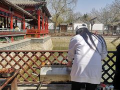 -尚庄度假村·庭台树下·户外烧烤·团建CS·轰趴营地(上庄水库店)