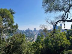 -板樟山森林公园