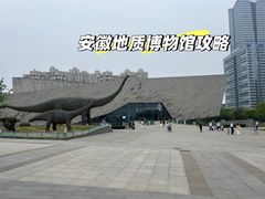 -安徽省地质博物馆