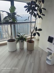 -HEYAN荷妍专业脱毛连锁机构