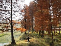 -青龙山国家森林公园