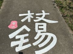 -四明山国家森林公园