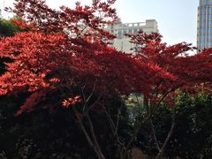 -郑和公园