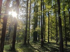 -黄海国家森林公园