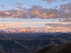 -金鼎雪山牦牛杂火锅(理县总店)