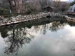 -皇藏峪国家森林公园