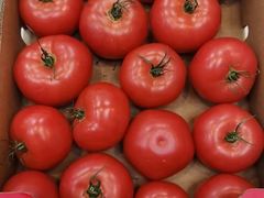 -爱森优选(大木桥二店)