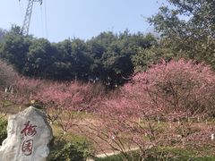 -重庆彩云湖湿地公园