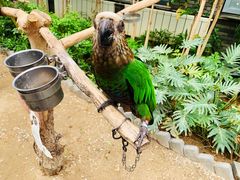 -南宫五洲植物乐园